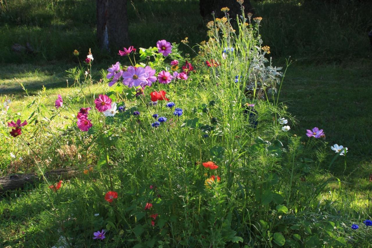 Souslens, Castaignos-Souslens 40 Bed and Breakfast Buitenkant foto
