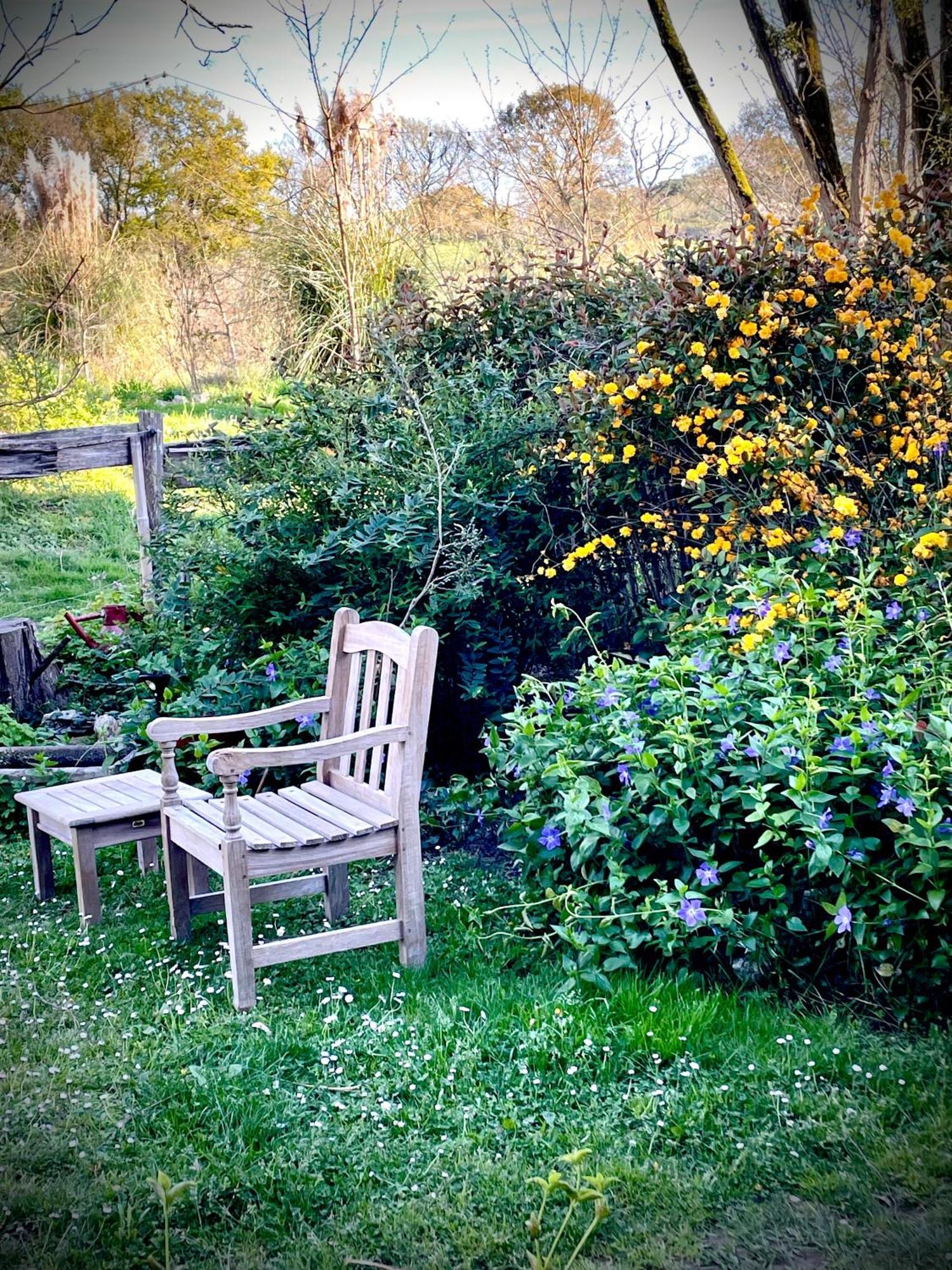 Souslens, Castaignos-Souslens 40 Bed and Breakfast Buitenkant foto